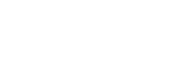 Blue Star Investment Banking